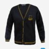 Sweater Uniforme Boston College